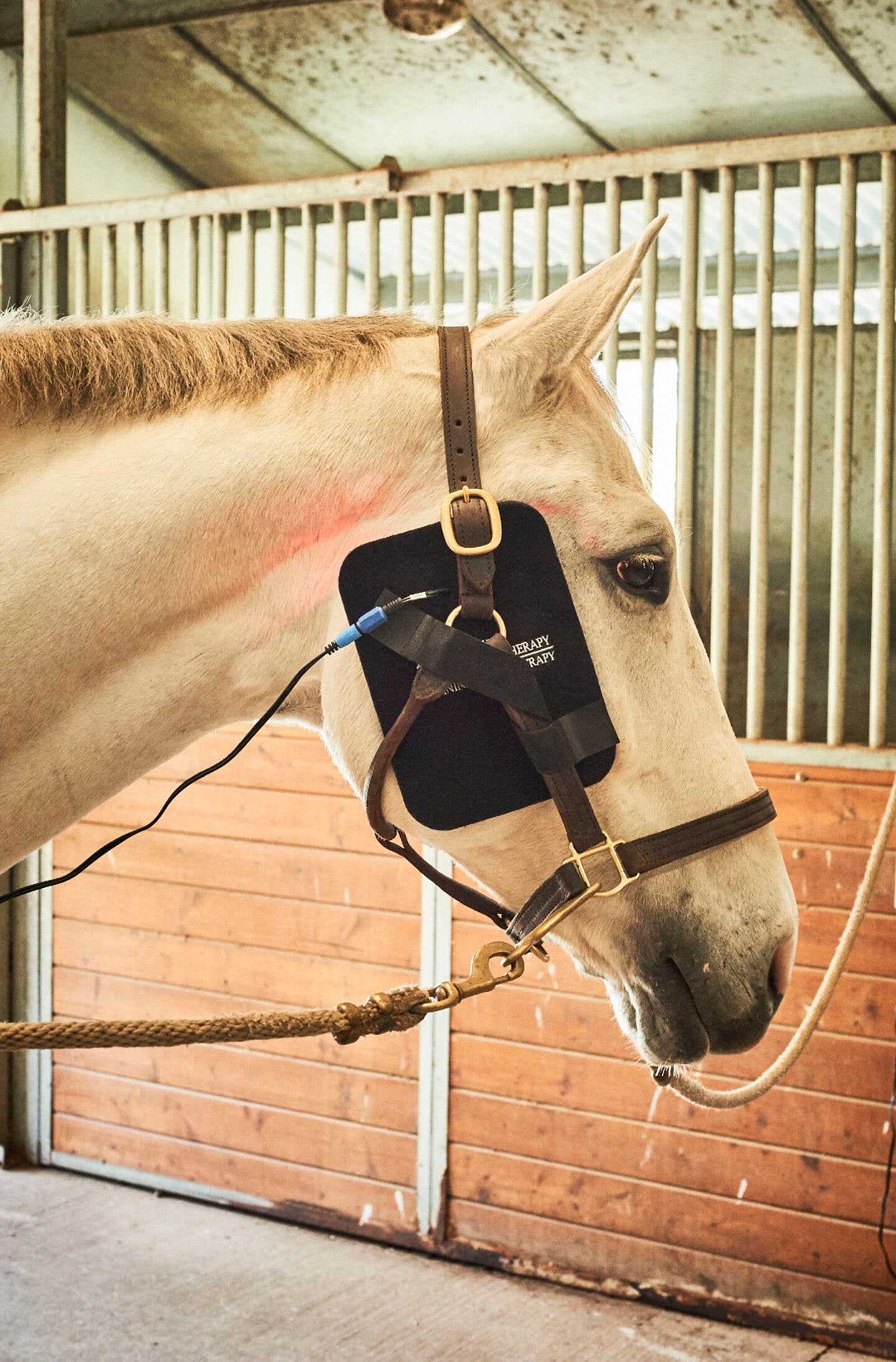 "Gospel's" Small Light Therapy Pad with Foam Lined Case