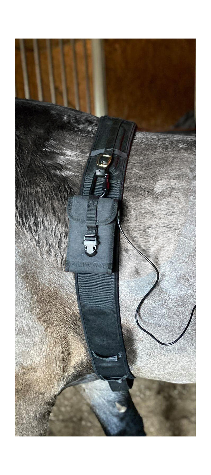 Large Surcingle with Battery Pack Clip-on Holster