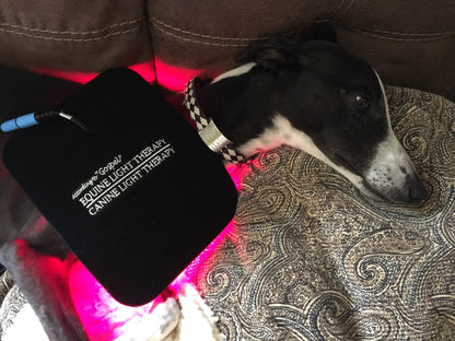 "Gospel's" Small Light Therapy Pad with Foam Lined Case